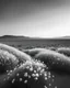 Placeholder: ULTRA REALISTIC, B&W Photograph, Atomic cloud made of WHITE FLOWERS, in the distance in the desert, at Golden Hour, cinematic, cinematic shot, dynamic composition, details, intricate detail, professional lighting, film lighting, 35mm, anamorphic, lightroom, cinematography, bokeh, lens flare, film grain, hdr10, 8k, Roger Deakins, incredibly detailed, reflect, sharpen