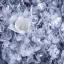 Placeholder: ice crystals, bell-shaped bouquet, reflection