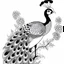 Placeholder: white, A peacock perched on a branch., coloring book, vector, white background, outline, with images neatly contained within the background, just black and white color, full body, no color.