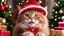 Placeholder: 4K, 8K, hyper detailed, masterpiece, xmaself, instant present, hat, necklace, cute, kawaii, RedGlitter, The hairy cat's reaction to receiving a table full of Christmas presents was pure delight, evident from its enthusiastic body language and joyful expression on her face. It was beaming with happiness, its eyes widened, and it smile stretched from ear to ear as it eagerly explored the array of gifts laid out on the table. Its excited gestures, perhaps clapping hands or jumping with glee, reveal