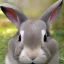 Placeholder: rabbit, Wearing make up avatar pandora