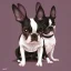 Placeholder: Boston Terrier prince