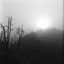 Placeholder: Close-up Ilford photograph of a creepy surreal landscape, eerie, no style, steep, autumn vegetation, very surreal, trees, spooky, metaphysical objects, giant sun, intricate, thoughtful, appalling, mountain rocks, deep 3d field, 8k, hypermaximalist, lot of fog