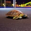 Placeholder: turtle in the amusement park in the middle of the night