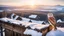 Placeholder: a barn owl sitting an old ruined rooftop and looking to te camera, over a winter landscacpe with european forest , snowy landscape, little light, sunrise, one old poor ruined small villager hut from above, high detailed, sharp focuses, photorealistic, perspective, cinematic