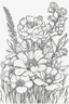 Placeholder: outline art of bostanisch flowers only black and white, no colour , White background. sketch style, clean line art, white background, no shadow and clear, no people, no colour, for book