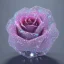 Placeholder: transparent multicolor crystal rose