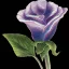 Placeholder: purple flower, greeting card illustration