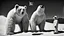 Placeholder: buster keaton as unstable polar growlar bear on the planet of Ceres, with some penguin astronauts