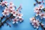 Placeholder: fantastic light pin blue background with four bunches of cherry blossoms