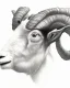 Placeholder: head of a goat drawn in pencil