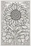 Placeholder: sunflowerr picture coloring page with decorative border around edges