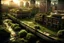 Placeholder: little to no signs of activity. no foot traffic to speak of. light smattering of garden variety traffic in an enormously sprawling metropolitan city which seems to be perfectly well maintained surrealistic photo real imagery titled: mysterious case of the New York Vanishing