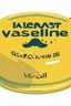 Placeholder: a picture of a guy bathing in a big yellow Vaseline jar, he is in a adventure park with his girlfriend, art style cal arts, simple character design, round mouths non tapering lines, minimalist and fluid