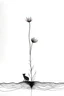Placeholder: Below the surface, pencil drawing, fine lines, black and white, negative space, no humans, plant and animal, minimalistic