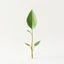 Placeholder: concept art of low poly stylized alien dry single leaf plant on a plain neutral background.