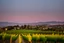 Placeholder: viñedos al atardecer con un pueblo al fondo, fotografía real, foto periodismo, fotografía realizada con una cámara Leica y un objetivo de 50mm