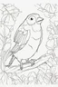 Placeholder: blank colouring book, white blank background, simple picture for toddlers, bird pet, disney and pixar style