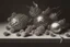 Placeholder: a realistic still life graphite drawing of pine cones in the classical style of Pieter Claesz, Jan Jansz. van de Velde and Anthonie Leemans