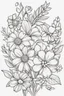 Placeholder: outline art for cute flower coloring pages with which, White background. sketch style, clean line art, white background, no shadow and clear