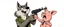 Placeholder: wolf biting butt of scared pig general pointing uzi gun up into the air, stupid cartoon, airbrush and pen outline