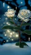 Placeholder: The ice tree shimmers in the light of the lights , a white rose