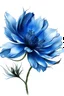 Placeholder: blue flower illustration defined and detailed with white background