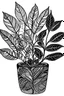 Placeholder: All season leaves outline art ,leaves in pot ,plant, flowers ,black and white