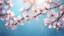 Placeholder: Fantastic light pin Blue Background with Spring Cherry Blossom Branches blur background