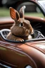 Placeholder: A brown bunny driving a Le Mans car