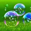 Placeholder: Soap bubbles on grass