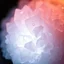 Placeholder: Macro photography of rose quartz crystal clusters emerging from soft biological gel, with gentle magical glow trapped inside crystal structure, subsurface scattering, warm light refraction, sparkling micro highlights reacting to light angles, professional focus stacking, 8k