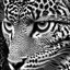 Placeholder: B&W animal infinity pattern, real, texture,fashion, not animal, no face,