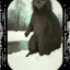 Placeholder: cryptid creature in the snow polaroid vintage style realistic