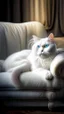 Placeholder: White cat, sitting on a sofa hdr