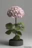 Placeholder: an isolated translucent hydrangea plant, 3d render, art nouveau style, ultra realistic, masked transparent flat background, backlight, popular on sketchfab, pixelsquid, 8k, volumetric lighting, super focused, no blur, trending on artstation, octane render, ultra detailed, hyperrealistic, by artgerm and alphonse mucha