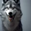 Placeholder: Black Wolf, teeth, 8K, cinematic lighting, sharp focus, masterpiece, expert