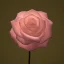 Placeholder: luminous rose in moonlight