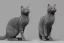 Placeholder: gray cat standing and pointing