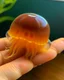 Placeholder: Jellybo is a cute little