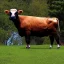 Placeholder: Modern Photograph Presidential Portrait of a Cow