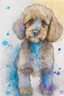 Placeholder: Abstract wet watercolour of a cockapoo, sketchy pencil lines, splashy background, bifurcated circles, detailed,focus on eyes, watercolour paper