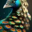 Placeholder: peacock,surreal, Unreal Engine 5, lens macro,sharp focus, realistic, hyper detailed