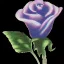 Placeholder: purple flower, glossy anime