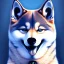 Placeholder: blue spirit shiba inu