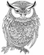 Placeholder: owl coloring page