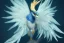 Placeholder: chibi cute adorable anivia bird-of-paradise portrait, hyperdetailed, meticulous, 8k resolution, trending on artstation, by cedric peyravernay