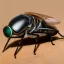 Placeholder: Photo of fly, 1500mm lens, realistic, front view