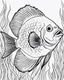 Placeholder: Cartoon outline, Discus fish full body, coloring pages, no color, highly detailed, black and white, white background, highly detailed