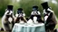 Placeholder: Anthropomorphic European badger wearing a tophat and having a tea party with his other anthropomorphic animal buddies. Photograph.